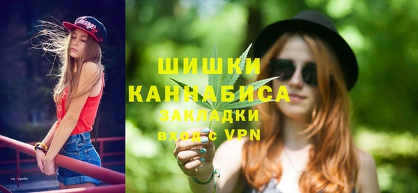 прущие грибы Алзамай
