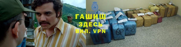 прущие грибы Алзамай