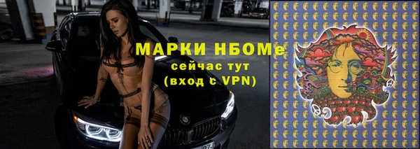 прущие грибы Алзамай