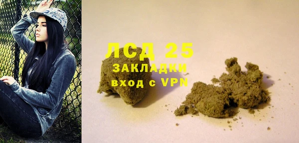 прущие грибы Алзамай