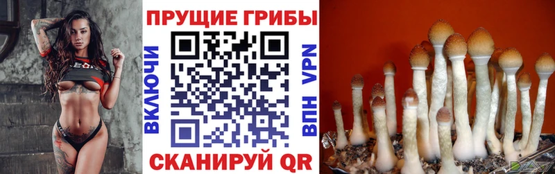 Галлюциногенные грибы MAGIC MUSHROOMS кракен ссылки Калач-на-Дону